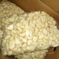 Wholesale vacuum bag peeled garlic